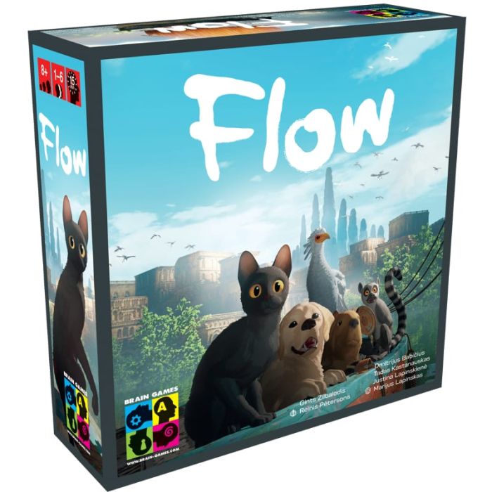 Flow