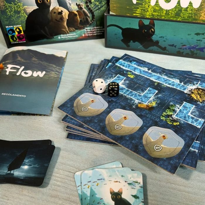 Flow