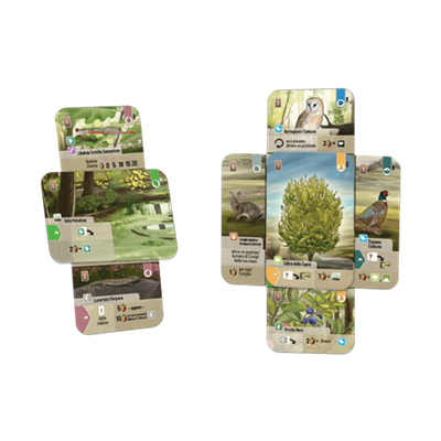 Forest Shuffle: Dartmoor